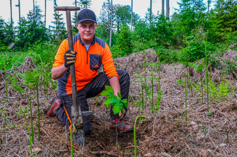 European State Forest Association – Managing State Forests Responsibly