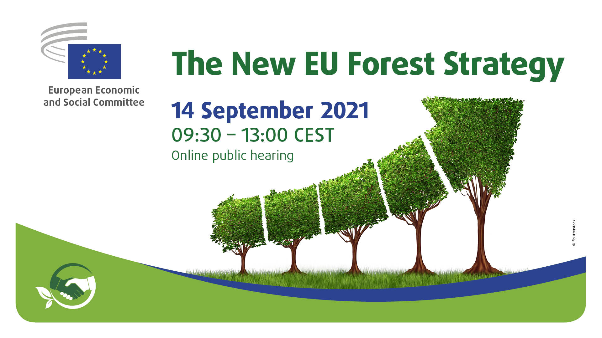 The new EU Forest Strategy – Online Public hearing – European