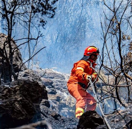 EUSTAFOR Response to the European Commission Communication on Integrated Wildfire Risk Management