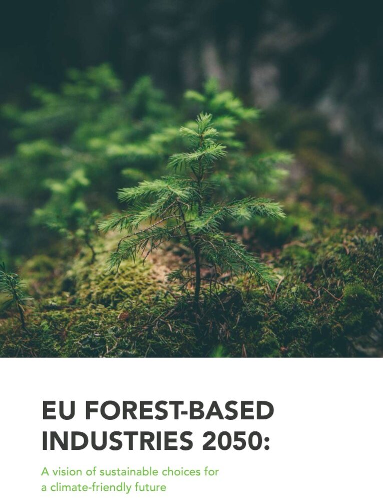 EU Forest-based Industries 2050: A vision for sustainable choices in a climate-friendly future