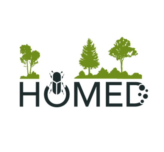 Horizon 2020’s HOMED project encouraging active input from stakeholders