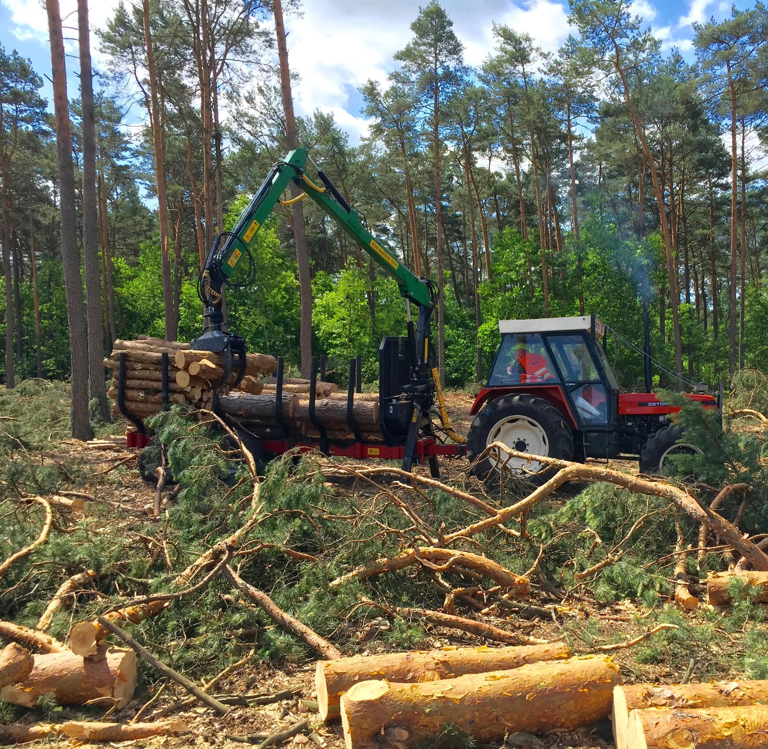 Forest Europe Stockholm Joint statement of the European Forest-based Sector