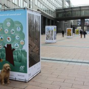 10 cubes showing large forest Posters infront of the European Parliament