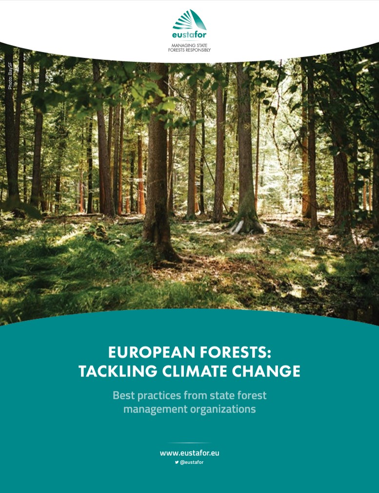 [Full booklet] European forests: Tackling climate change