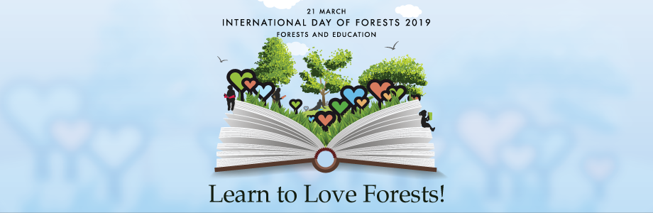 Forests and Education! – International Day of Forests 2019 ...